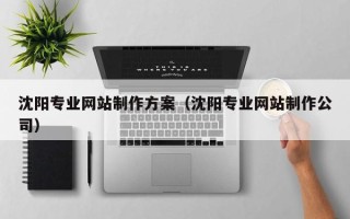 云南沈阳专业网站制作方案（沈阳专业网站制作公司）
